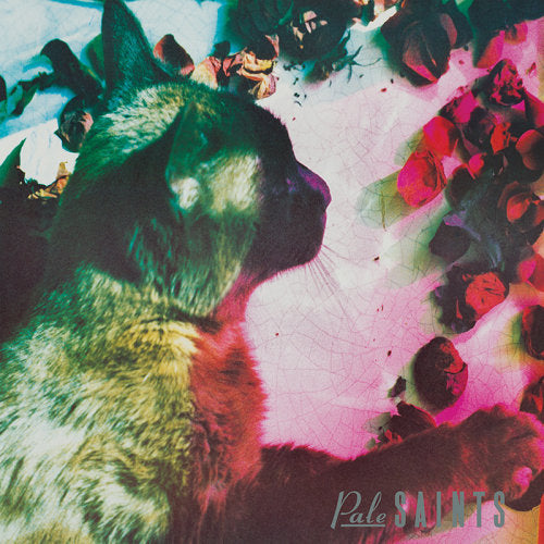 Pale Saints - Comforts of madness (.. Madness / Clear Vinyl, Coloured Vinyl LP)