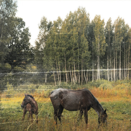 Pianos Become The Teeth - Old pride (Screamo CD)