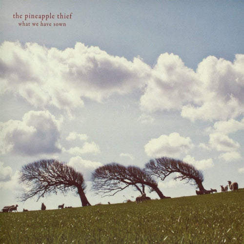 Pineapple Thief - What we have sown (Digipak CD)