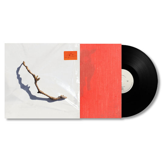 Harvey, P.J. - I inside the old year dying (5040043 LP)