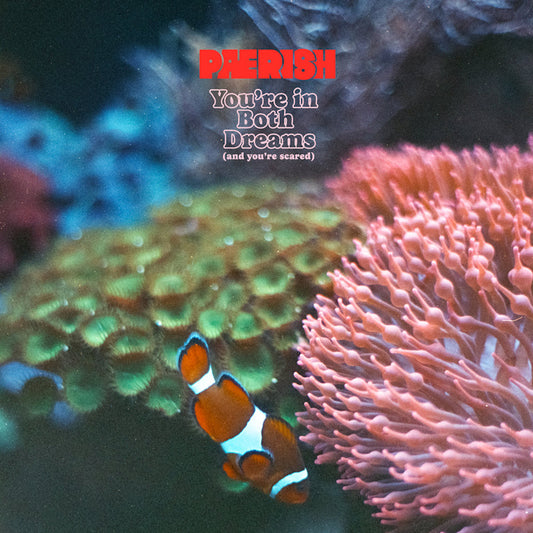 Paerish - You're in both dreams (and you're scared) (LP)