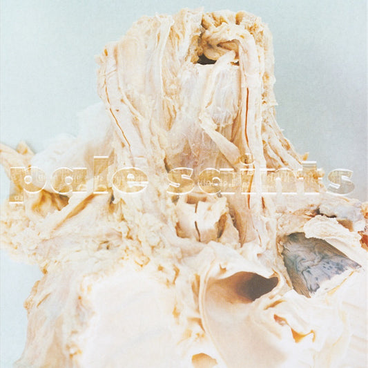 Pale Saints - In ribbons -2023 reissue- (30th Anniversary Edition CD)