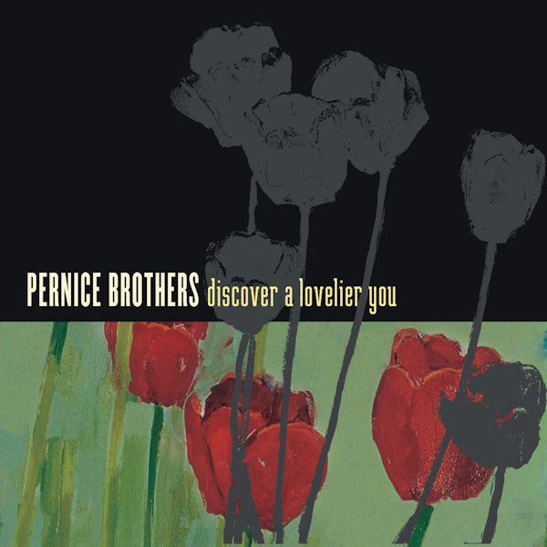 Pernice Brothers - Discover a lovelier you (CD)