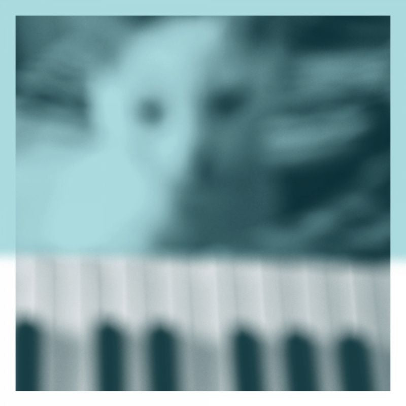 Peter Broderick - Piano Works Vol.1: Floating In Tucker's Basement (LP)