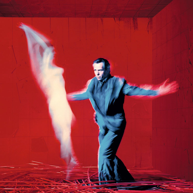 Peter Gabriel - Us (Ft. Sinead O'Connor On 2 Tracks CD)