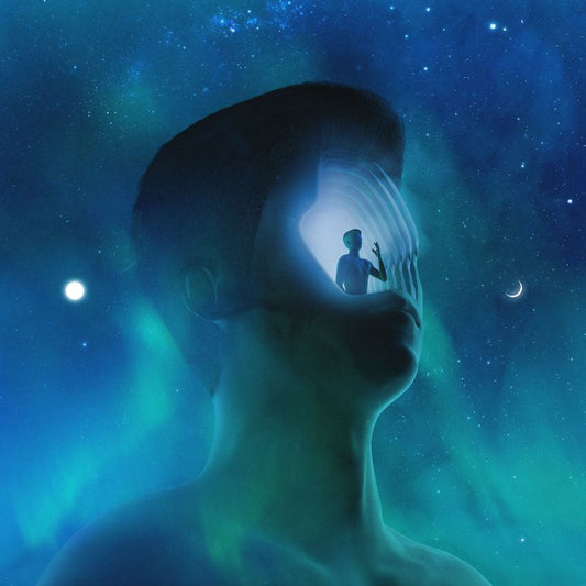 Petit Biscuit - Presence (LP)