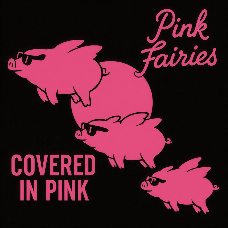 Pink Fairies - Covered in pink (CD)