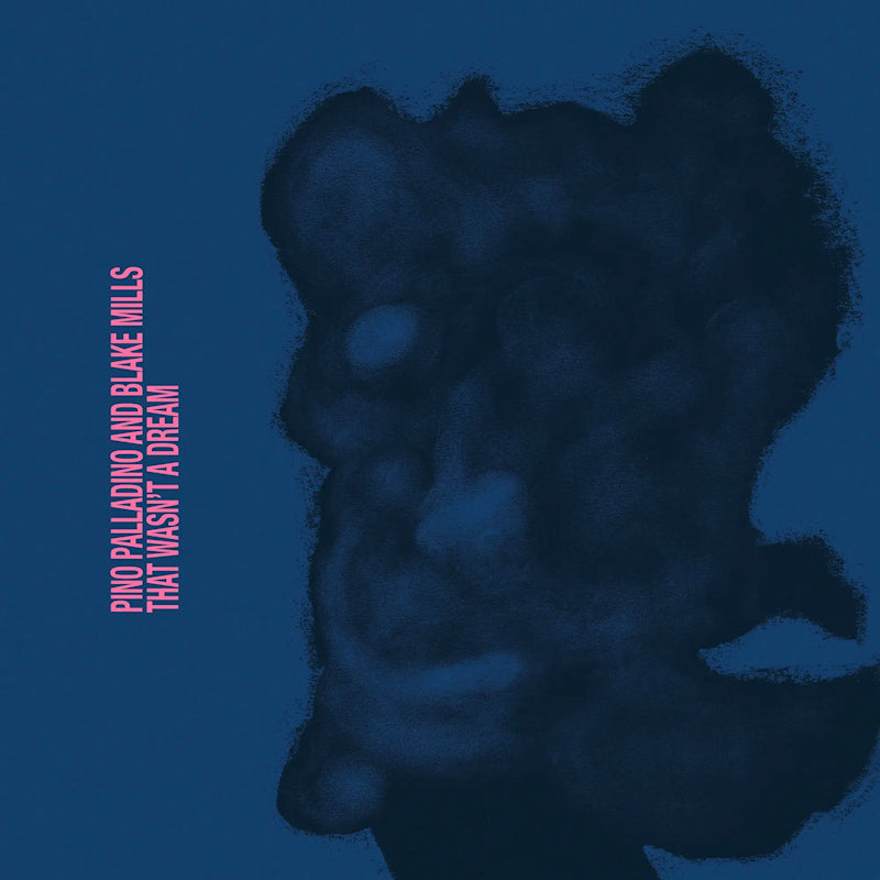 Pino Palladino and Blake Mills - That wasn't a dream (CD)