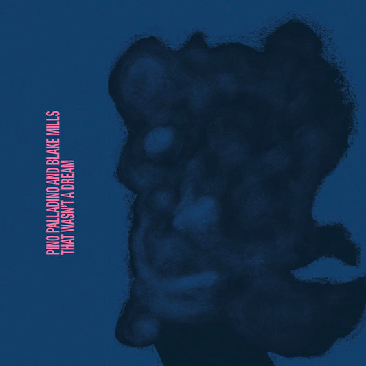 Pino Palladino and Blake Mills - That wasn't a dream (CD)