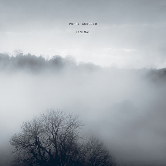 Poppy Ackroyd - Liminal (LP)