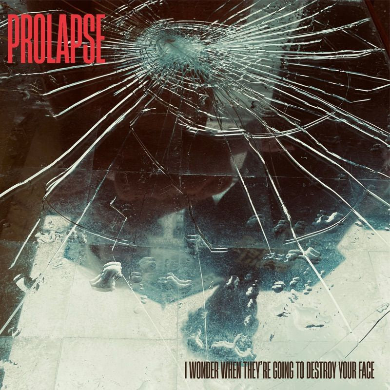Prolapse - I wonder when they're going to destroy your face (CD)
