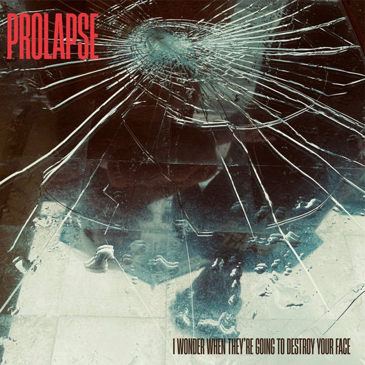 Prolapse - I wonder when they're going to destroy your face (CD)