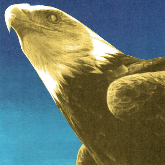 Protomartyr - Hotel unsona (CD)