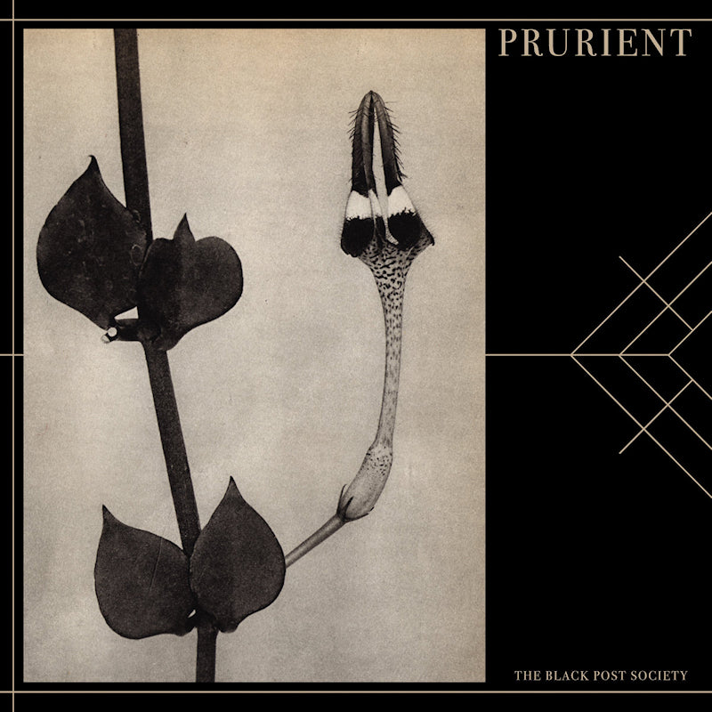 Prurient - Black post society (CD)