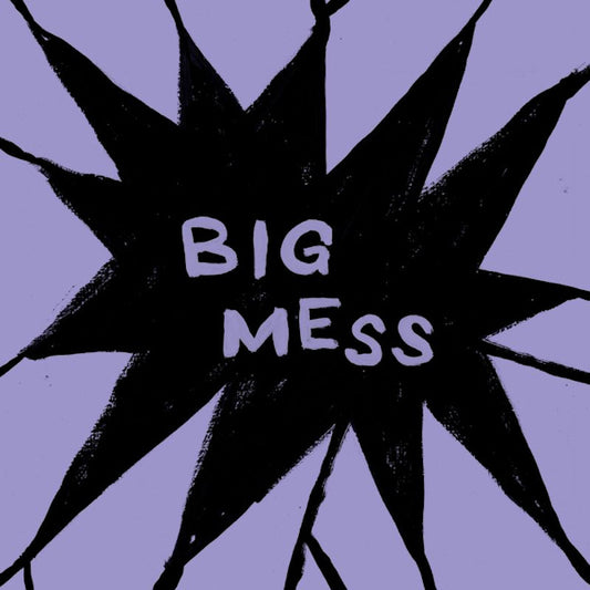 Public Body - Big mess (LP)