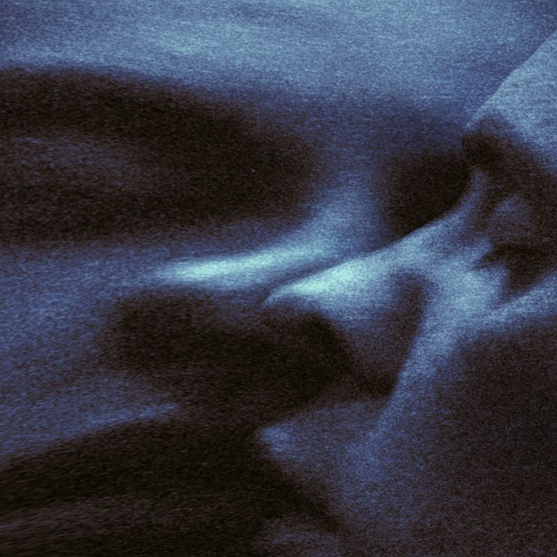 Puma Blue - Croak dream (LP)