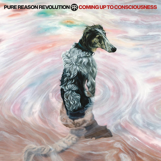 Pure Reason Revolution - Coming up to consciousness (High Quality, Eco-Mix, Gatefold Sleeve, Insert, Coloured Vinyl LP)