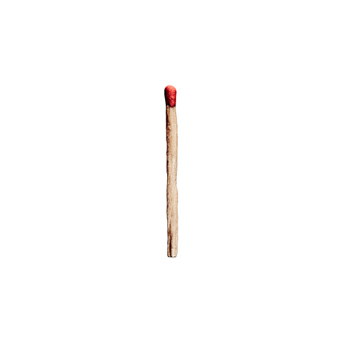 Rammstein - Rammstein (LP)