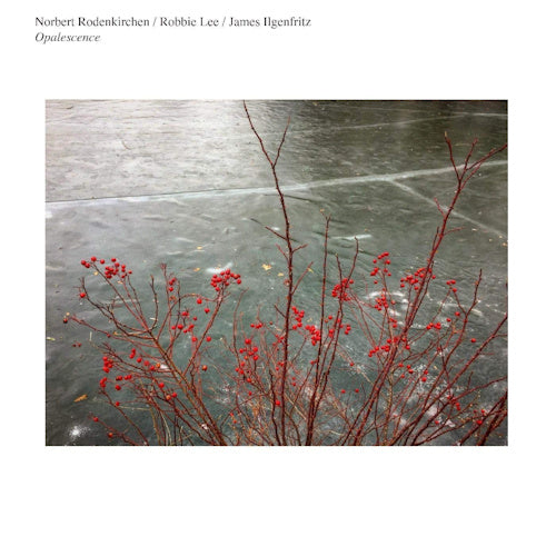 Norbert Rodenkirchen - Opalescence (W/ Robbie Lee/James Ilgenfritz CD)