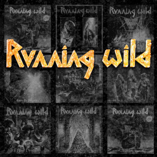 Running Wild - Riding the storm - the very best of (CD)