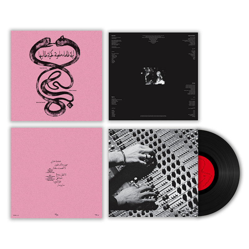 Radwan Ghazi Moumneh & Frederic D. Oberland - Eternal life no end (LP)