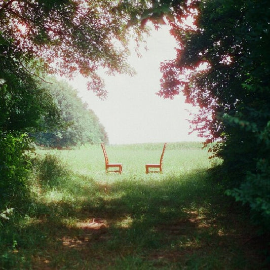 Ratboys - Singin' to an empty chair (Gatefold Sleeve, Coloured Vinyl LP)