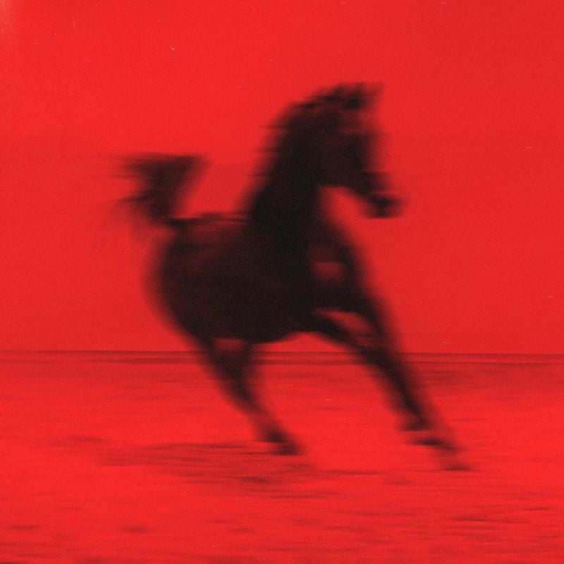 Red Rum Club - Buck (LP)