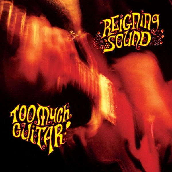 Reigning Sound - Too much guitar (CD)