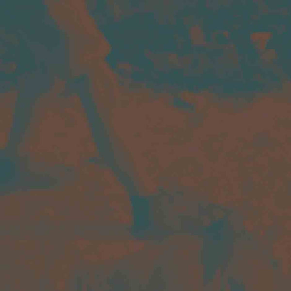 Ritual Howls - Ritual howls (Amber Stone Vinyl, Coloured Vinyl LP)