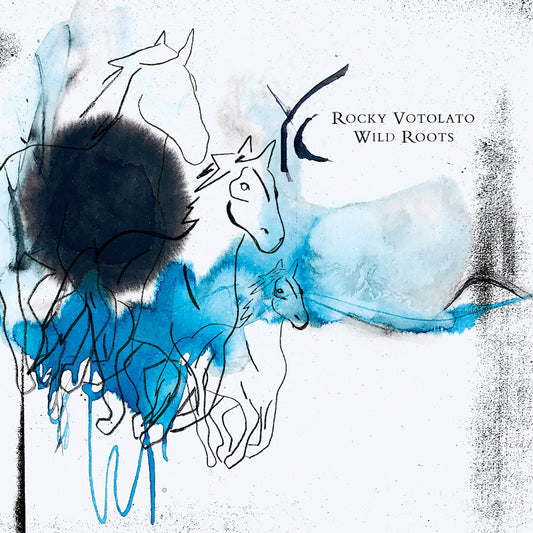 Rocky Votolato - Wild roots (CD)