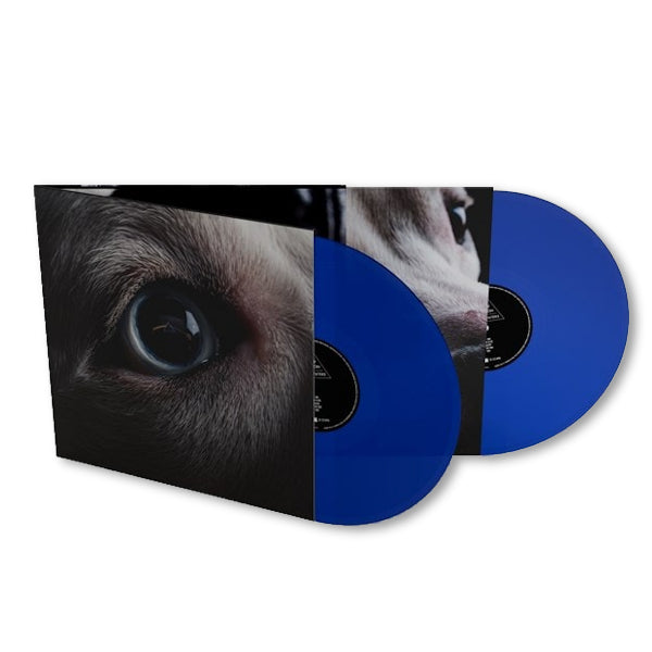 Waters, Roger - The dark side of the moon redux (.. the Moon Redux/Blue Transparent Vinyl, Transparent, Coloured Vinyl LP)