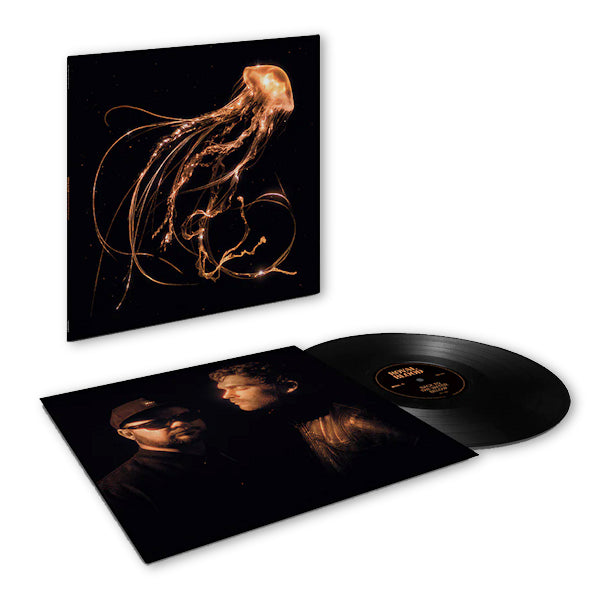 Royal Blood - Back to the water below (LP)