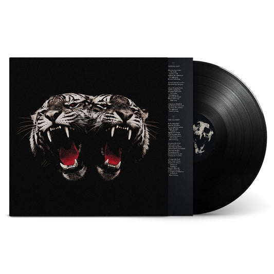 Royal Blood - Dead company (LP)