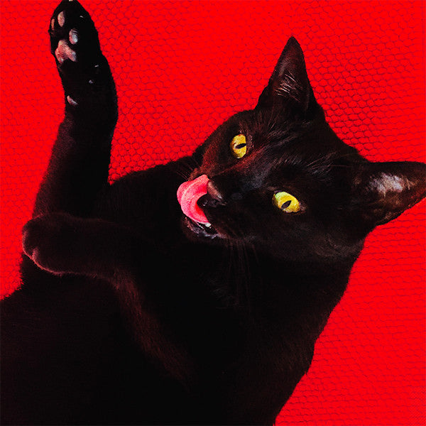 Ryan Adams - Big colors -coloured + 7-inch- (Red Vinyl / Bonus 7" With Two Exclusive Tracks, Gatefold Sleeve, Coloured Vinyl LP)