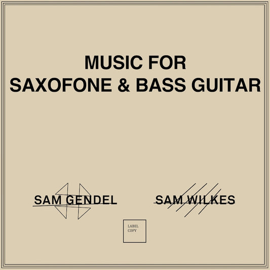 Sam Gendel & Sam Wilkes - Music for saxofone & bass guitar (LP)