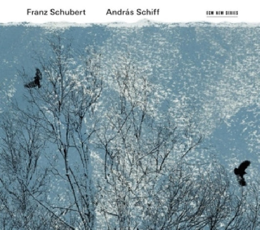 Andras Schiff - Schubert: fortepiano (CD)