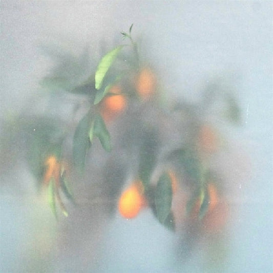 U-ziq & Mrs Jynx - Secret garden (Green Vinyl, Coloured Vinyl LP)
