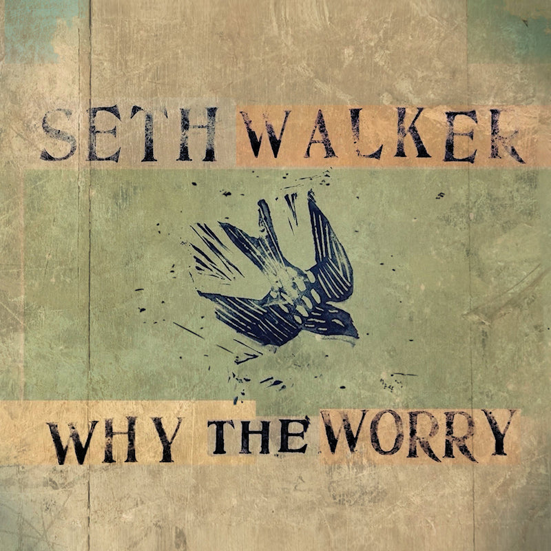 Seth Walker - Why the worry (Digipak CD)