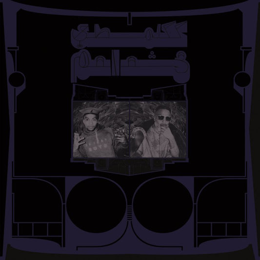 Shabazz Palaces - Exotic birds of prey (CD)