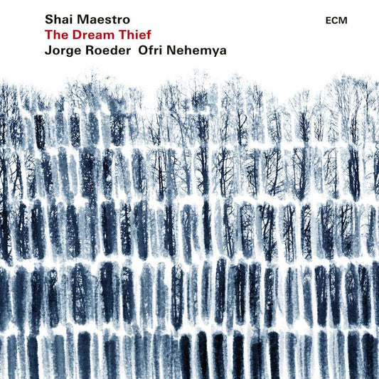 Shai Maestro - Dream thief (Ft. Ofri Nehemya & Jorge Roeder CD)
