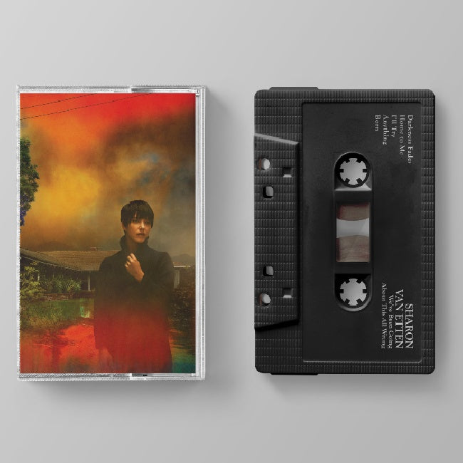 Sharon Van Etten - We've been going about this all wrong (muziekcassette)