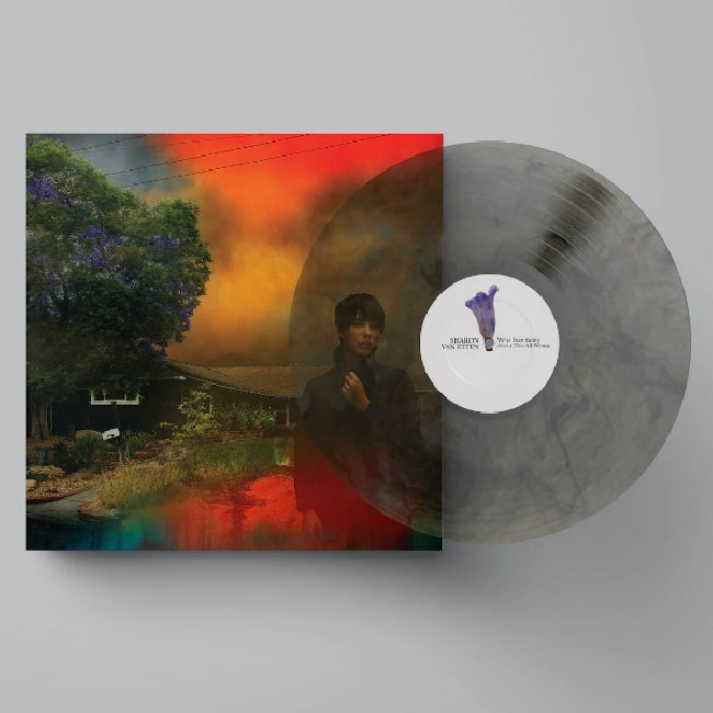 Sharon Van Etten - We've been going about this all wrong (.. Going About This All Wrong / Marble Smoke Vinyl, Coloured Vinyl LP)