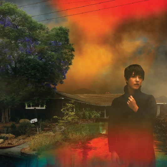 Sharon Van Etten - We've been going about this all wrong (LP)