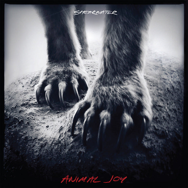 Shearwater - Animal joy (LP)