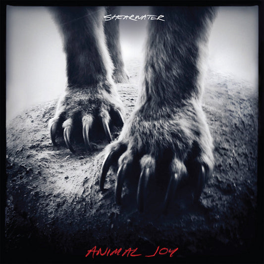 Shearwater - Animal joy (CD)
