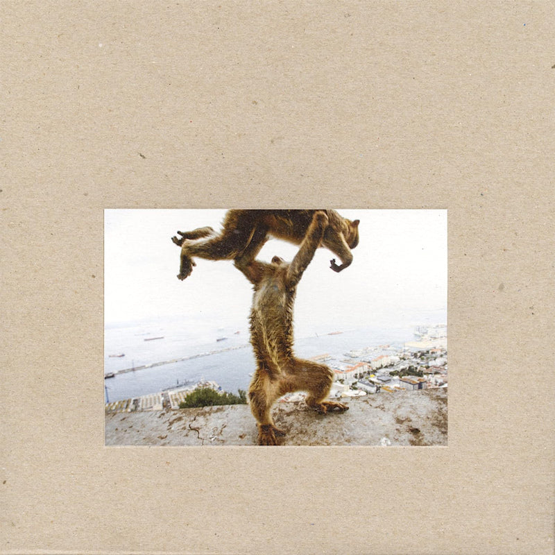 Shellac - Dude incredible (CD Has Full Album // 180grams Lp LP)