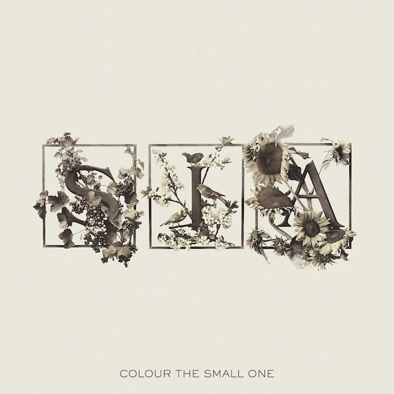 Sia - Colour the small one (Worked W/Beck/Jamiroquai/Massive Attack/William Orbit CD)