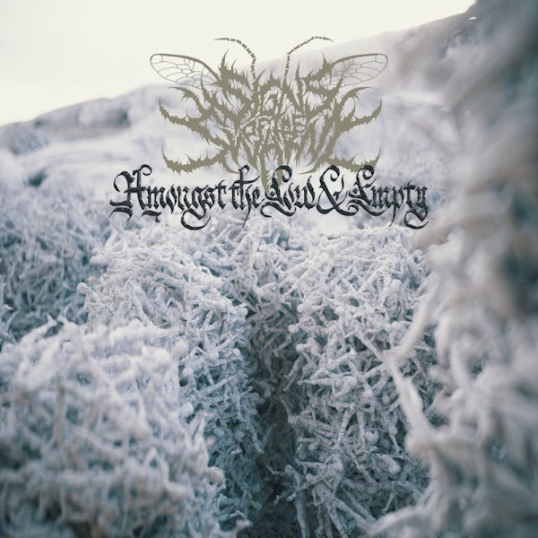 Signs Of The Swarm - Amongst the low & empty (CD)