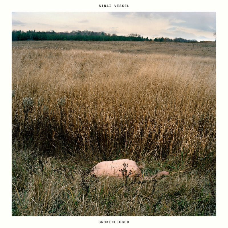 Sinai Vessel - Brokenlegged (CD)