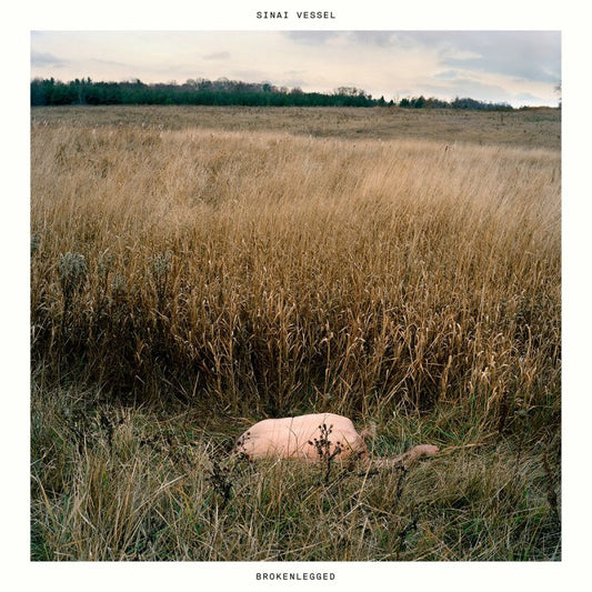 Sinai Vessel - Brokenlegged (LP)